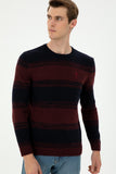 USPA Men Jumper R/Neck Bordeaux VR014 USPJR382 US POLO ASSN.